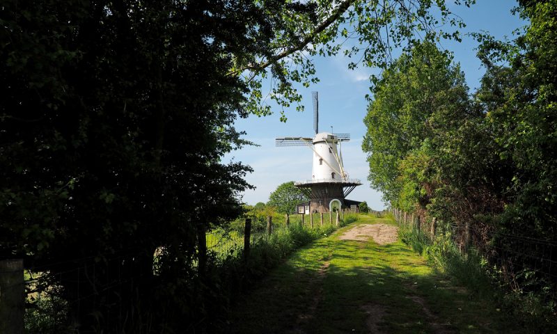 Veere in Zeeland - "Fee ist mein Name"