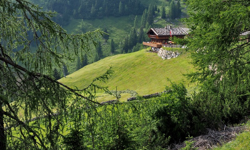 Auf der Dalfaz-Alm, da gibts koa Sünd