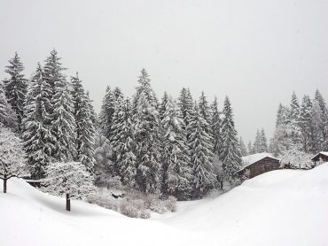 Schneereiche Winterwanderung in Laax in der Schweiz - "Fee ist mein Name"