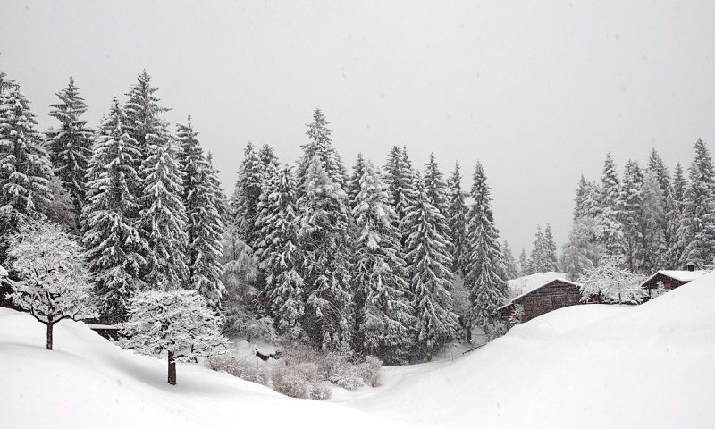 Schneereiche Winterwanderung in Laax in der Schweiz - "Fee ist mein Name"